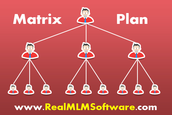 Matrix MLM Plan - MLM Matrix Marketing Plan Software